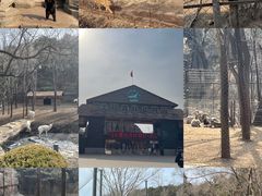 -沈阳森林动物园