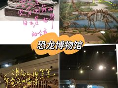 -自贡恐龙博物馆