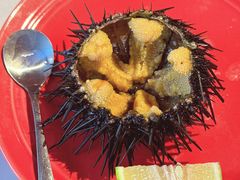 -蚝堡海鲜·威海菜·海肠捞饭·烧烤·亚洲吃蚝公司(幸福门店)