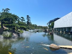 -罗红摄影艺术馆