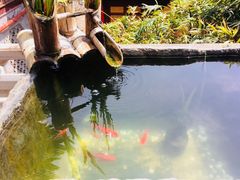 -尽善百年古院餐厅(王家老宅店)
