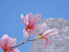 -北京明城墙遗址公园