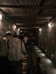 -翱翔飞越地平线
