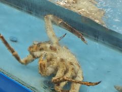 -麦德龙(浦东店)