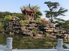 -顺峰山公园