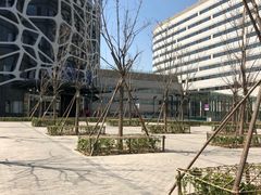 -首都医科大学附属北京天坛医院