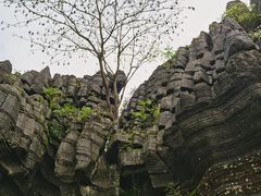 -梭布垭石林景区