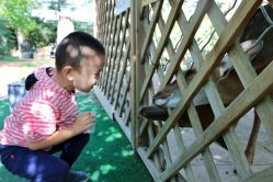 -萌宠亲子动物乐园(槐房万达店)