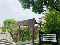 -南汇桃花村