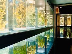 -广东中医药博物馆