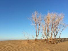 -亿利库布其七星湖沙漠生态旅游区