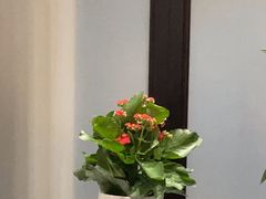 -五岳宫·私房菜