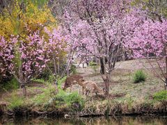 -银树楼(紫玉山庄东区店)