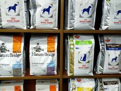 -安安宠医宠物医院·异宠·犬猫内科(岳阳分院)