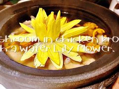 出水芙蓉-辛香汇·现炒川菜(淮海路百盛店)