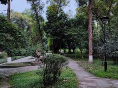 -塔子山公园