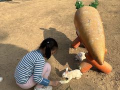 -盈香心动乐园