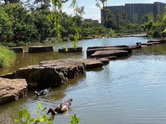 -云南艺术学院(呈贡校区)