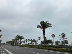 -演武大桥观景平台