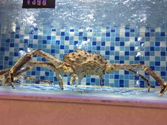 -船奇蒸汽海鲜·闽菜(八市海鲜总店)