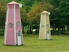 -南宁良凤江国家森林公园