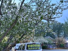 -香木香羊(小汤山店)