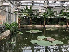 -国家植物园南园