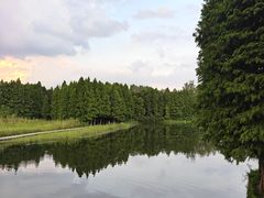 -溱湖国家湿地公园