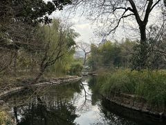 -南翔古镇