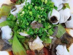 清蒸多宝鱼-锦粤宫·精致粤菜(深圳北站店)