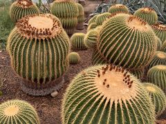 -国家植物园