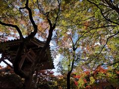 -常寂光寺