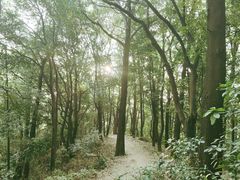 -广州市白云山风景名胜区