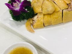 -金瑞轩大酒楼·顺德鱼生·粤菜海鲜(东江国际店)