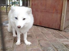 -武汉紫薇都市田园