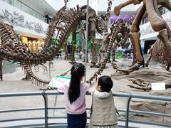 -中国地质大学逸夫博物馆