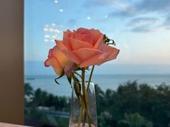 -不仔客海鲜·烧烤·270度海景餐厅(大东海店)
