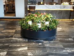 -大鸭梨烤鸭(枣园店)