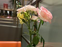 -红鼎豆捞·非遗鲍皇汤火锅(宝丰路店)