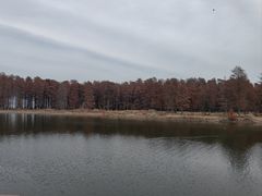 -四明湖