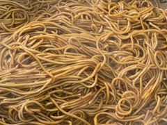 -双宝红油牛系列