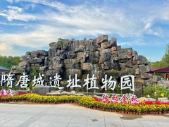 -洛阳市隋唐城遗址植物园