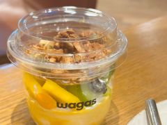 -Wagas沃歌斯(正大乐城店)