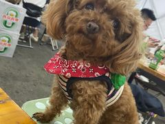 -老黑板筋(顺义总店)