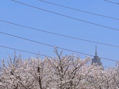 -西北湖绿化广场