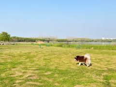 -滨湖塘西河公园
