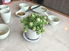 -船歌·鱼水饺青岛菜(石老人店)