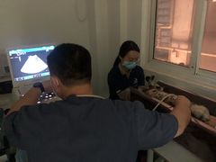 -伟伟宠物医院·CT影像中心·瑞派犬猫综合性门诊(汉口总院)