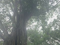 -南宁花花大世界景区