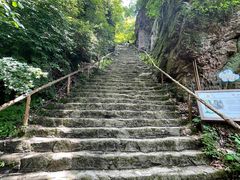 -天女山森林公园
